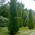 Jardineros, Mantenimiento Jardines, Tala Árboles