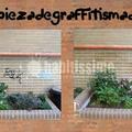 Limpieza, Limpieza Monumentos, Limpieza Graffitis
