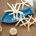 Estrellas de mar decorativas.