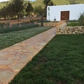 Mantenimiento jardinería Ibiza