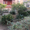Mantenimiento de jardines comunitarios