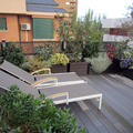 Jardin en ático de Madrid