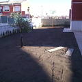 jardin recien terminado