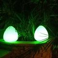 Jardinera