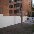 Construcción de Muro Divisorio entre Inmuebles