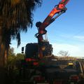 GRUA PALFHINGER 27 MTS / 44 TN CON PORTA PALLETS