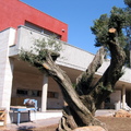 Obra nova a Valldoreis Sant Cugat