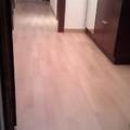 Parquet laminado Haro
