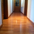 parquet y puertas
