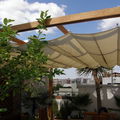 Pergola y toldos en un atico en Murcia
