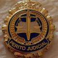 PERITO JUDICIAL