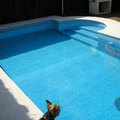 Piscina Pool Design