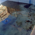 piscina sucia