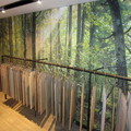 Showroom Profesional Barcelona