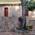 TERRAZA Y ESCALERA DE PIEDRA