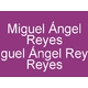 Miguel Ángel Reyes Reyes