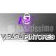 Vipasa Pintores 