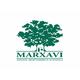 Logo MARXAVI jpeg.