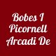 Bobes i Picornell Arcadi De