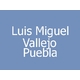 Luis Miguel Vallejo Puebla