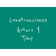 Construcciones Arturo Y Tony