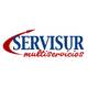Logo servisur
