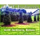 ALOE-jardineria.LOGOTIPO
