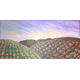 cielos del vino_350732