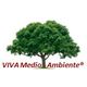 Logo Viva