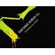 image logo