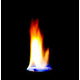 images_447634