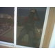 IMG00351-20120601-1319_273931