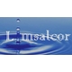limsalcor-2