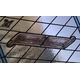 logito_143789