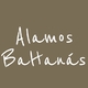 Logo Alamos Baltanás