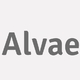 Logo Alvae_239056