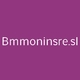 Logo Bmmoninsre.sl_140444
