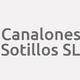 Logo Canalones Sotillos SL_375196