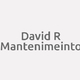 Logo David R Mantenimeinto_307660