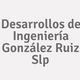 Logo Desarrollos de Ingeniería González Ruiz Slp_240357