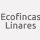 Logo Ecofincas Linares_303879