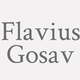 Logo Flavius Gosav_368087