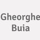Logo Gheorghe Buia_239559