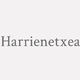 Logo Harrienetxea_317093
