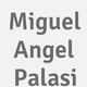 Logo Miguel Angel Palasi_279359