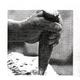 logo nando 3_2_339524