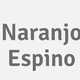Logo Naranjo Espino_168534