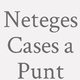 Logo Neteges Cases a Punt_222869
