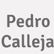 Logo Pedro Calleja_356487