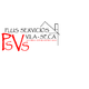 LOGO PLUSSERVICIOS VILASECA OUT_554661